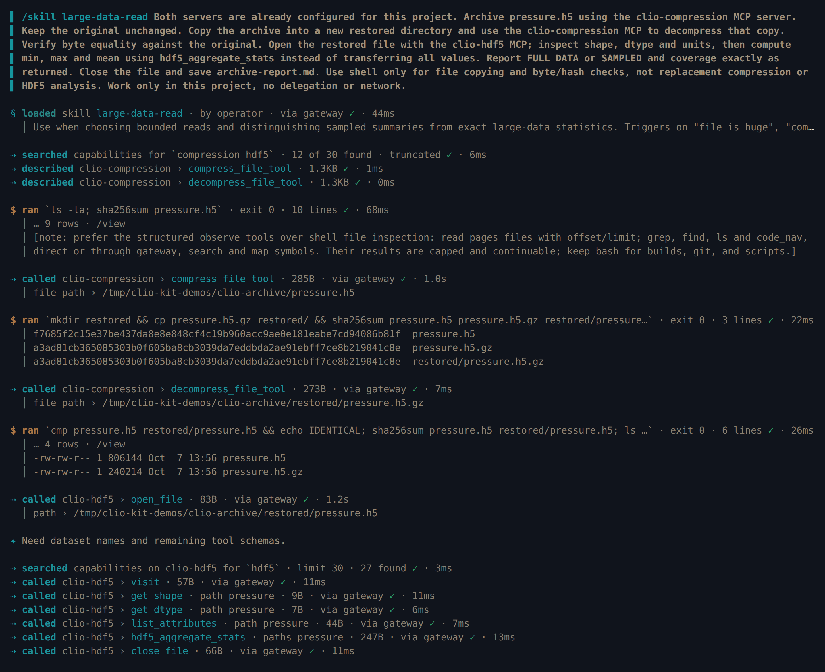 Clio Coder calls clio-compression compress and decompress tools, checks the restored copy, then calls clio-hdf5 tools including hdf5_aggregate_stats
